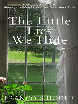 cover image of The Little Lies We Hide